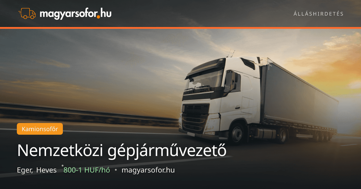 Nemzetközi gépjárművezető